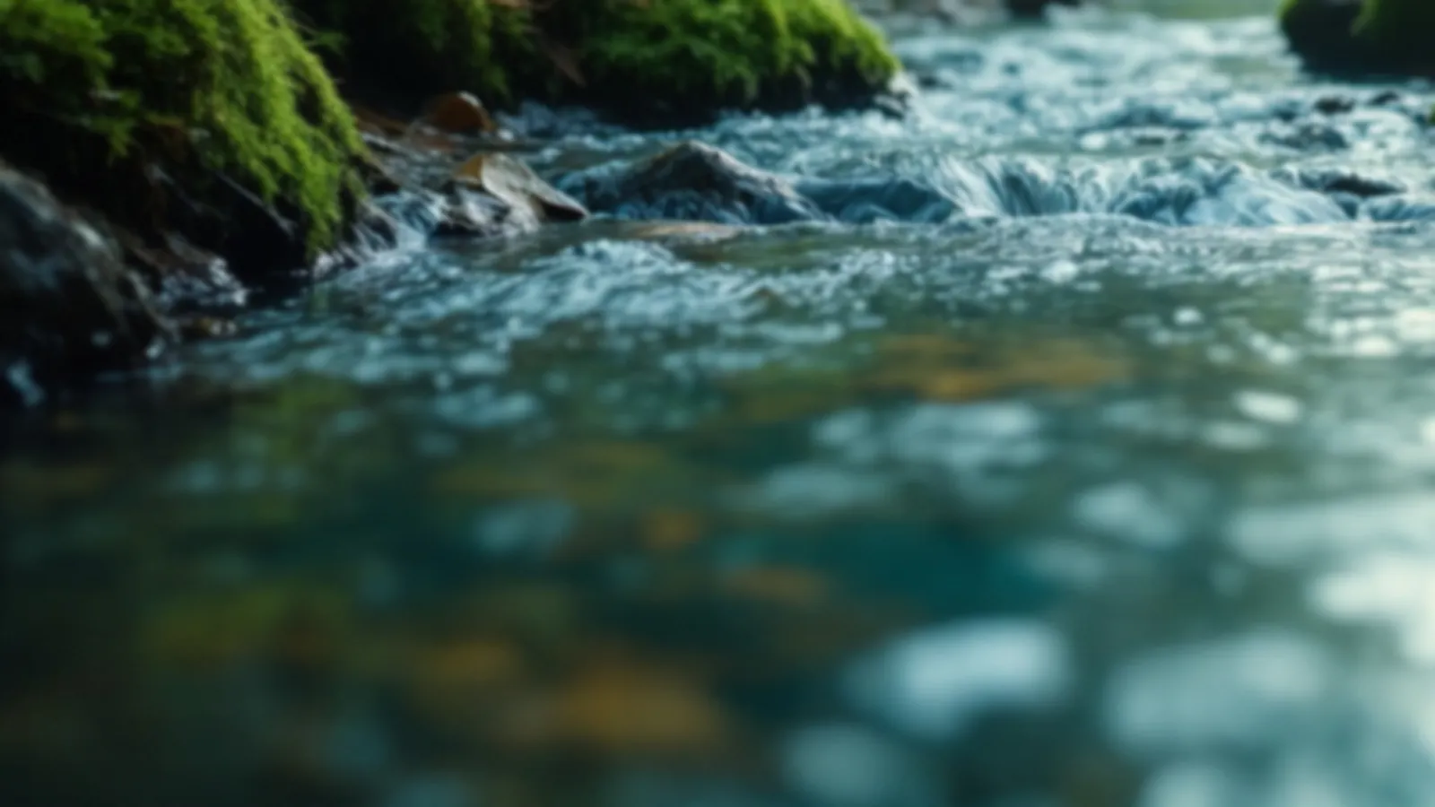 Mossy forest floor beside clear running water, the BrookAlia view of short-term loans online, $100 – $5,000